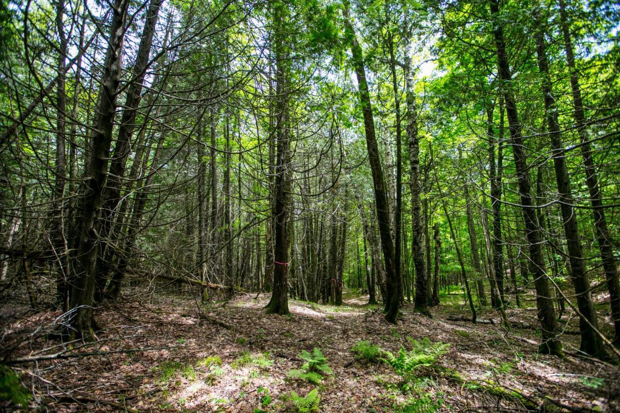 Вилла Domaine La Cedriere Grenville-Sur-La-Rouge Экстерьер фото