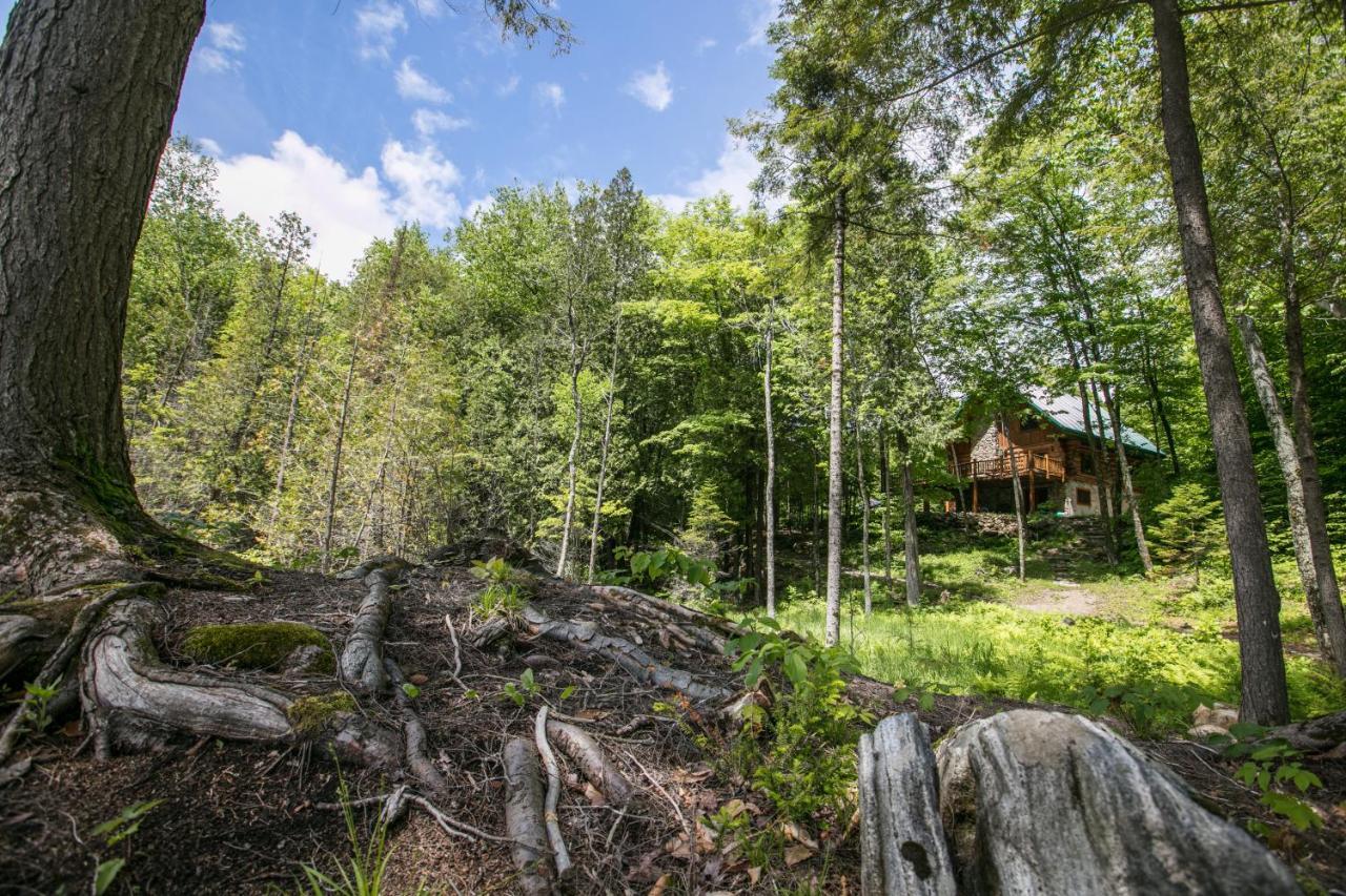 Вилла Domaine La Cedriere Grenville-Sur-La-Rouge Экстерьер фото